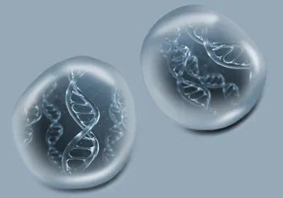 Artistic rendition of droplet DNA amplification